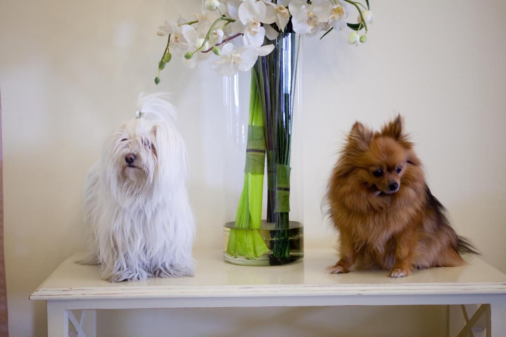 Hotel Speranza Lido di Jesolo