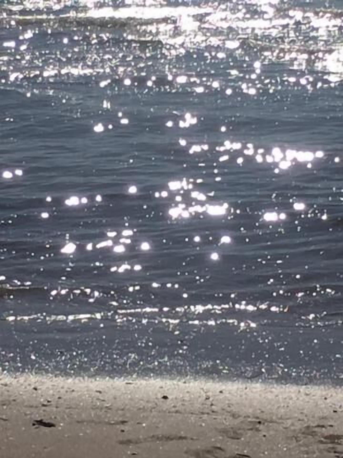 Speranza 3* Lido di Jesolo